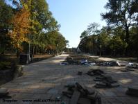 Imagine atasata: Parcul Central - 2018.10.07 - 01.jpg